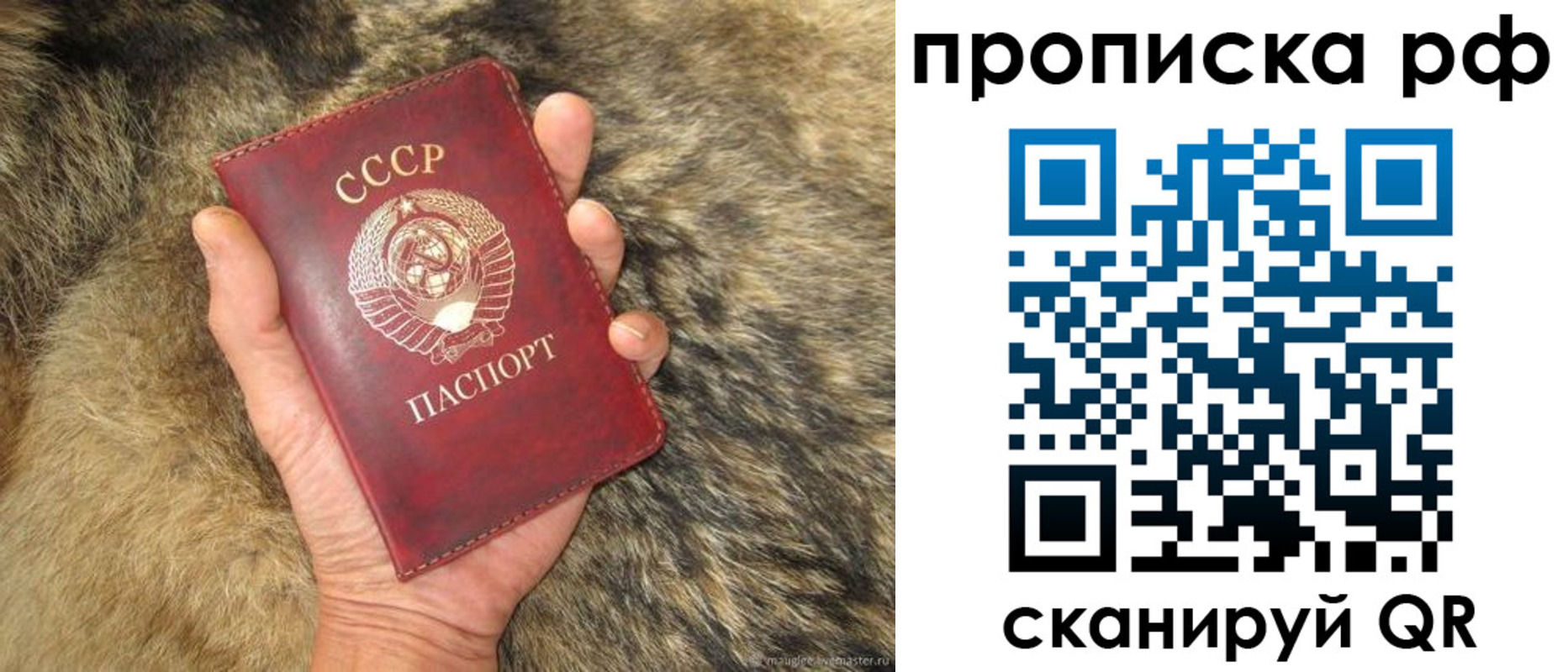 временная регистрация гарантия в Костроме